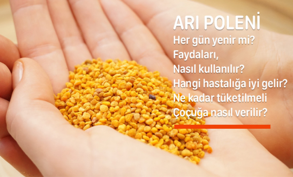 Arı Poleni Nedir, İçindekiler, Nasıl Kullanılır, Toplanır, Tüketilir, Faydaları?